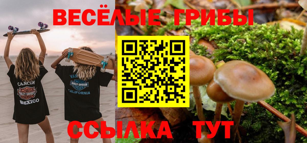 Галлюциногенные грибы Psilocybine cubensis Краснокаменск