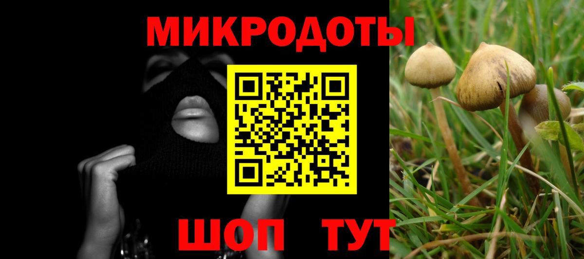 Краснокаменск  Псилоцибиновые грибы ЛСД  Вход с VPN 